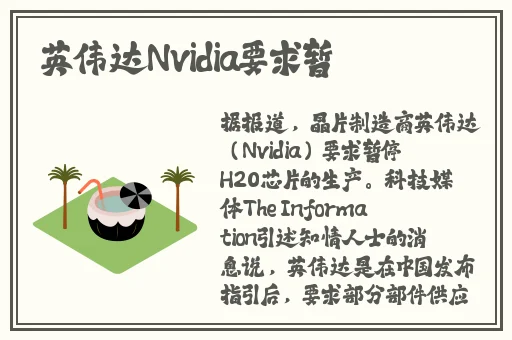大菠萝导航福建app网址入口最新章节iOS